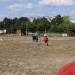mini-IMG_0790