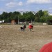 mini-IMG_0792