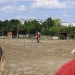 mini-IMG_0795