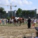 mini-IMG_0806