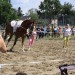 mini-IMG_0807
