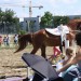 mini-IMG_0808