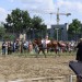 mini-IMG_0810