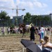 mini-IMG_0812