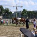 mini-IMG_0814