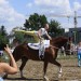 mini-IMG_0816