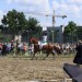 mini-IMG_0825