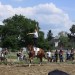 mini-IMG_0849