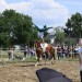 mini-IMG_0866