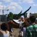 mini-IMG_0873