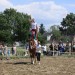mini-IMG_0884