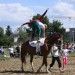 mini-IMG_0895