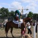 mini-IMG_0897