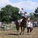 mini-IMG_0908