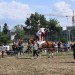 mini-IMG_0911