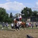 mini-IMG_0912