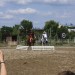 mini-IMG_0936