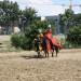 mini-IMG_0938