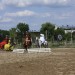 mini-IMG_0944