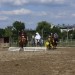 mini-IMG_0946