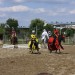 mini-IMG_0950