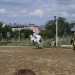 mini-IMG_0951