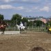 mini-IMG_0952