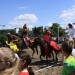mini-IMG_0956