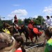 mini-IMG_0957