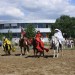 mini-IMG_0961