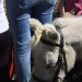 mini-IMG_0962