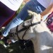 mini-IMG_0963