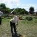 mini-IMG_0972
