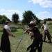 mini-IMG_0973