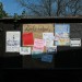 mini-IMG_7974
