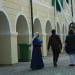mini-IMG_7988