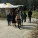 mini-IMG_7999