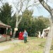 mini-IMG_8011