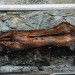 mini-IMG_8027