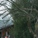 mini-IMG_8036