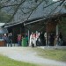 mini-IMG_8038