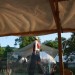 mini-IMG_0007