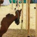mini-IMG_9844