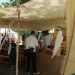 mini-IMG_9850