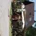 mini-IMG_9859