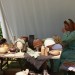 mini-IMG_9878