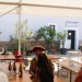 mini-IMG_9896