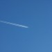 mini-IMG_9903
