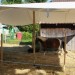 mini-IMG_9922