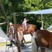 mini-IMG_9924